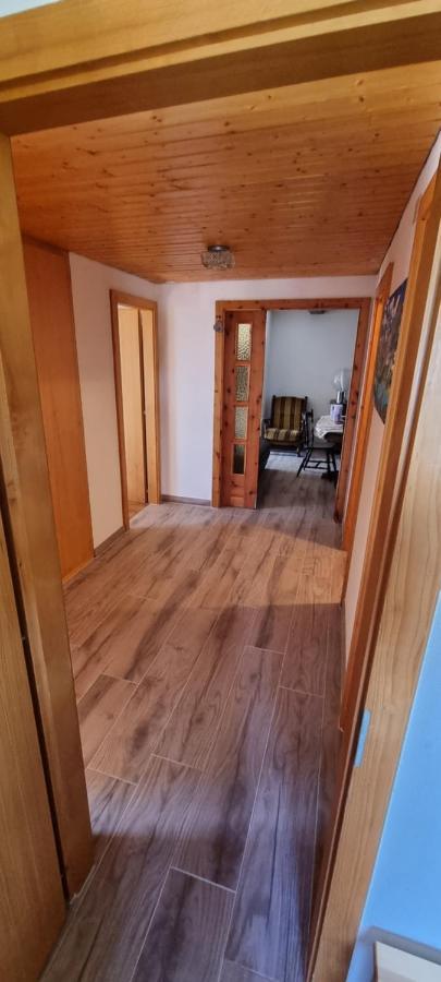 Le Panorama - Appartement 54 A Arolla Face Aux Montagnes A 150M Des Pistes Evolène Buitenkant foto
