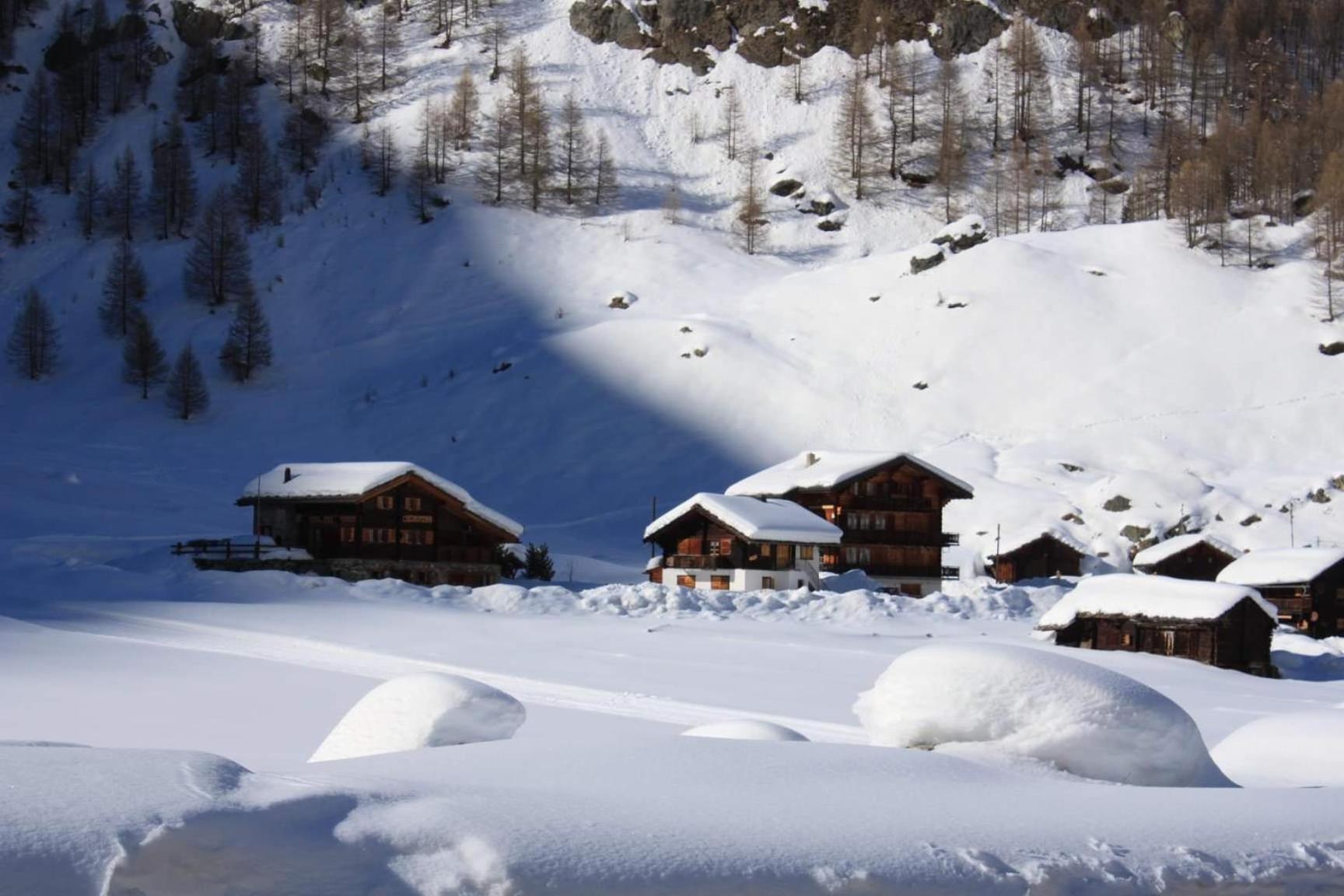 Le Panorama - Appartement 54 A Arolla Face Aux Montagnes A 150M Des Pistes Evolène Buitenkant foto